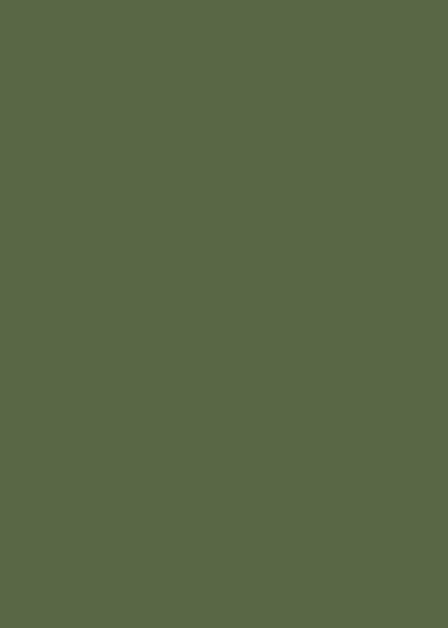 Main 3 - HARDIE PANEL HZ5 48 IN. X 120 IN. STATEMENT COLLECTION MOUNTAIN SAGE SMOOTH FIBER CEMENT PANEL SIDING - Arlington Coal & Lumber